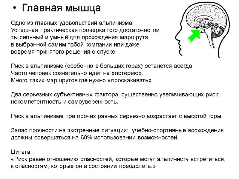 Главная мышца  Одно из главных удовольствий альпинизма: Успешная практическая проверка того достаточно ли